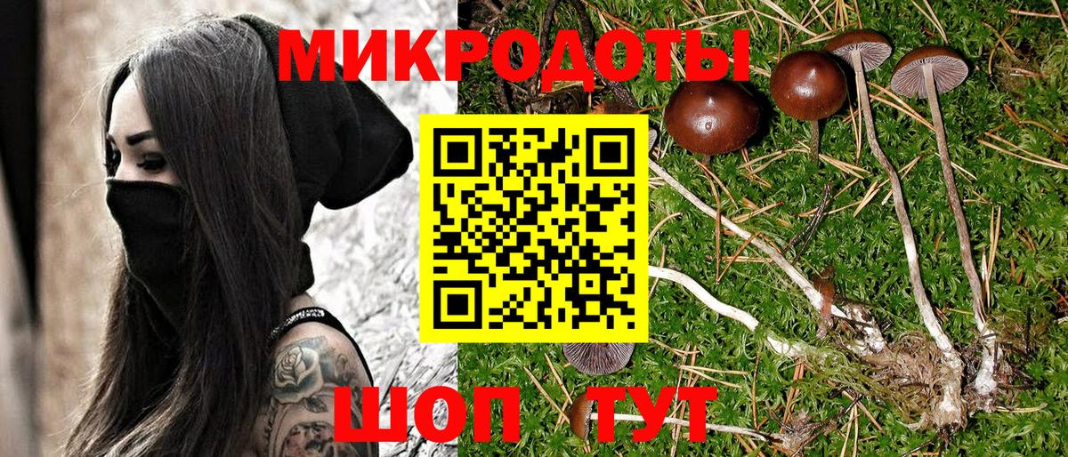 Псилоцибиновые грибы прущие грибы  Вход с VPN  где найти   Дивногорск 