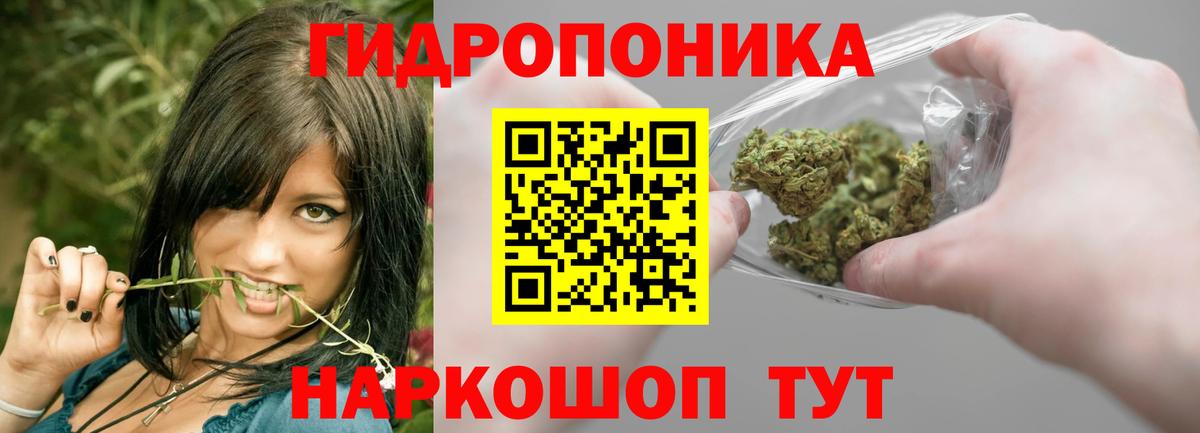 Шишки марихуана семена Дивногорск